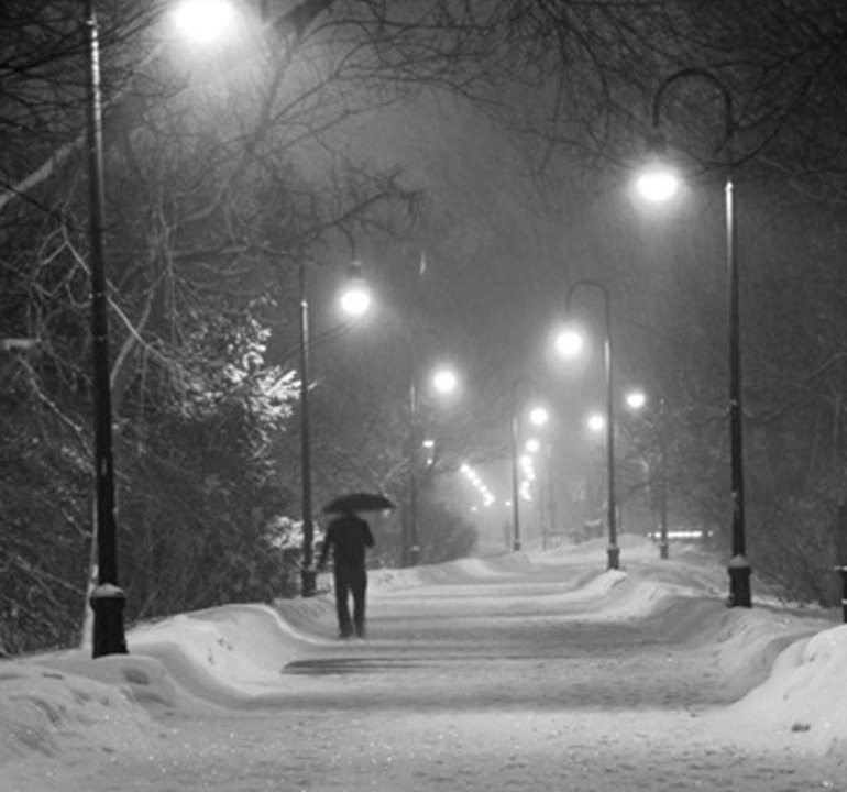 Photo of Others in Somerville