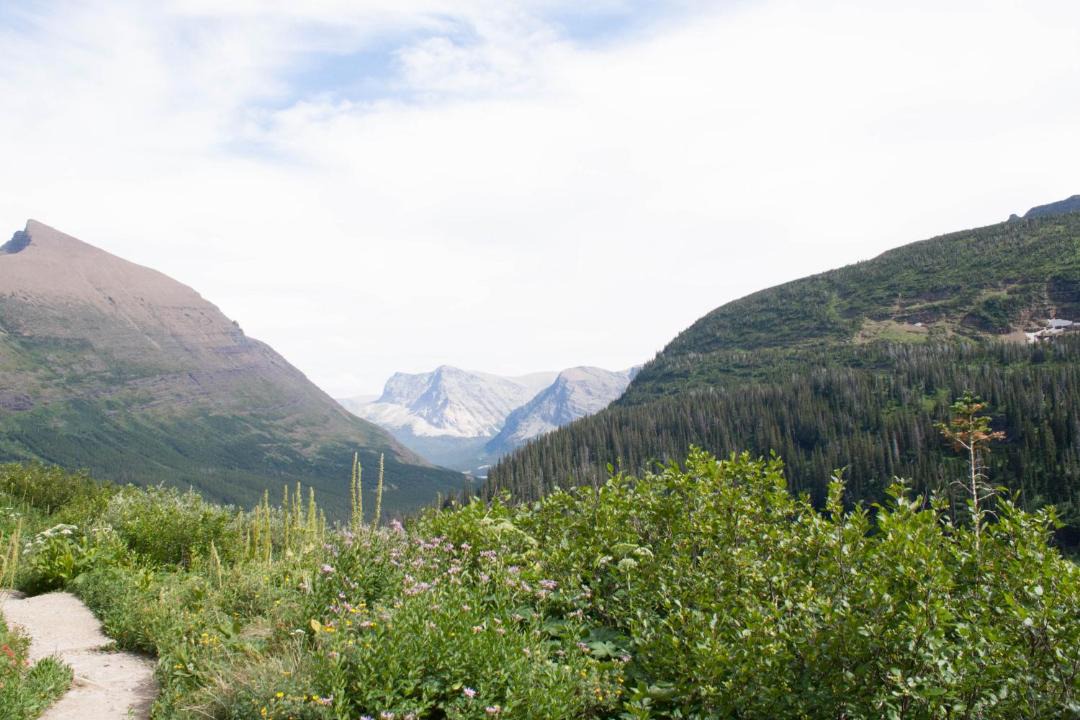 Photo of Others in Saddle Ridge