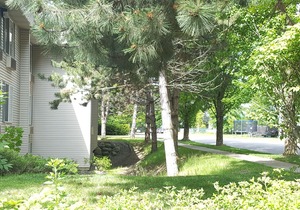 Baymont by Wyndham Coeur D Alene
