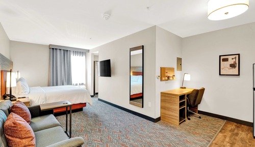 Studio Suite, 1 King Bed with Sofa bed