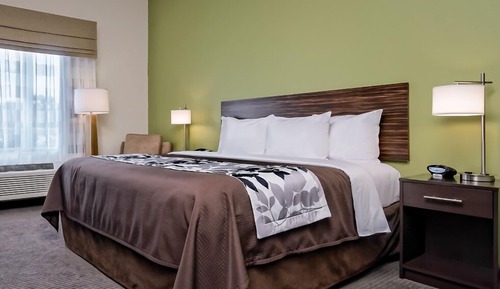 Room, 1 King Bed, Accessible, Non Smoking