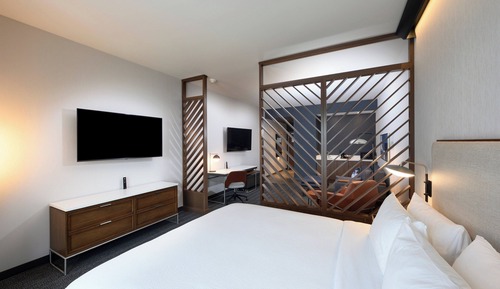 Suite, 1 King Bed with Sofa bed