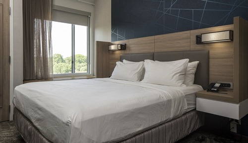 Suite, 1 King Bed (Mobility/Hearing Access, Roll-in Shwr)