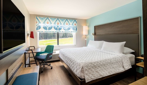 Room, 1 King Bed