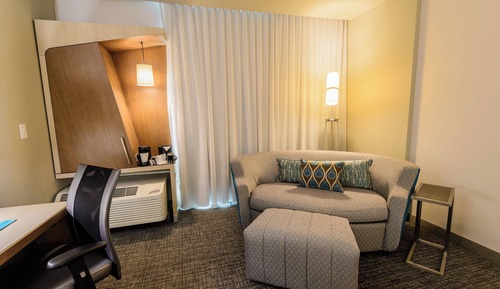 Room, 1 King Bed with Sofa bed