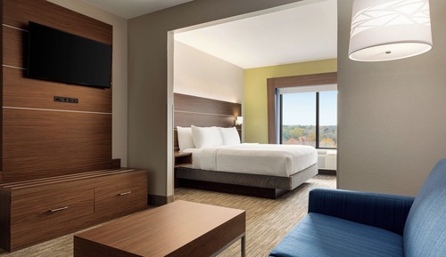Suite, 1 King Bed