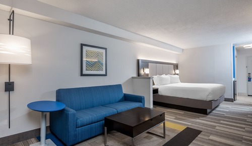 Suite, 1 King Bed with Sofa bed