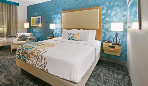 Standard Room, 1 King Bed, Non Smoking, Refrigerator & Microwave