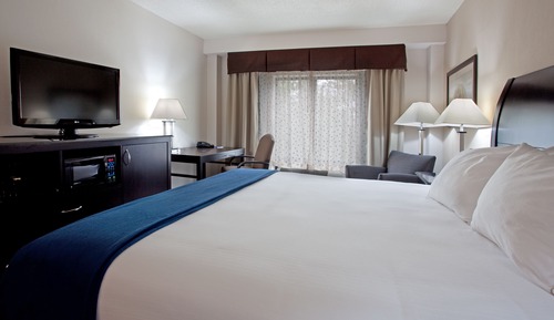 Standard Room, 1 King Bed (Roll-In Shower)