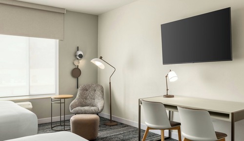 Studio, 1 King Bed with Sofa bed
