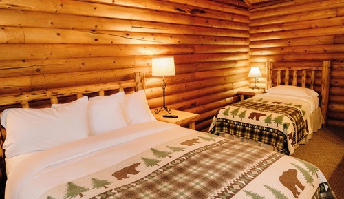 Standard Cabin, Multiple Beds, Garden View