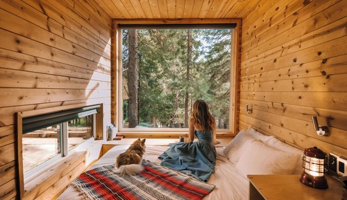 Signature Cabin, 1 Queen Bed