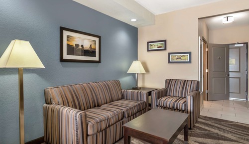 Suite, 1 King Bed, Non Smoking, Refrigerator & Microwave (with Sofabed)