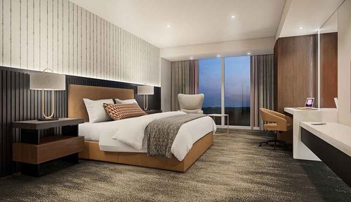 Luxury Single Room