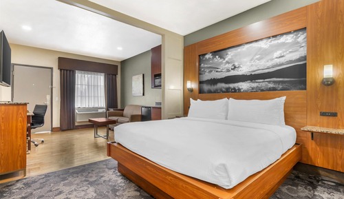 Suite, 1 King Bed, Non Smoking, Refrigerator & Microwave (Walk-in Shower;with Sofabed)