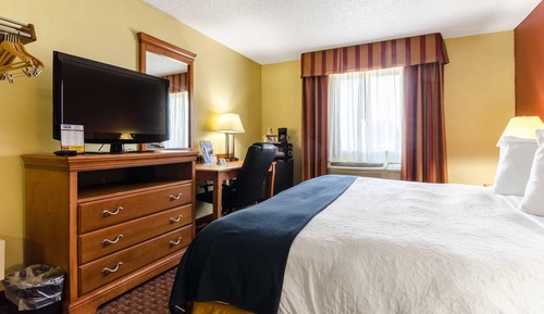 Room, 1 King Bed, Accessible, Non Smoking