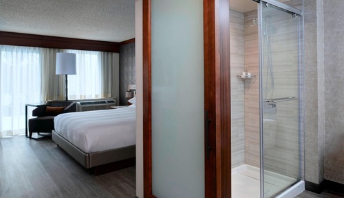 Room, 1 King Bed