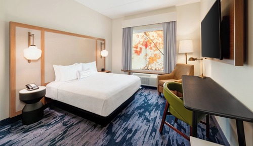 Room, 1 King Bed