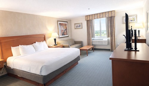 Suite, 1 King Bed, Non Smoking, Jetted Tub (with Sofabed)