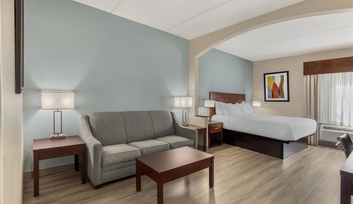Suite, 1 King Bed, Non Smoking, Refrigerator & Microwave (with Sofabed)