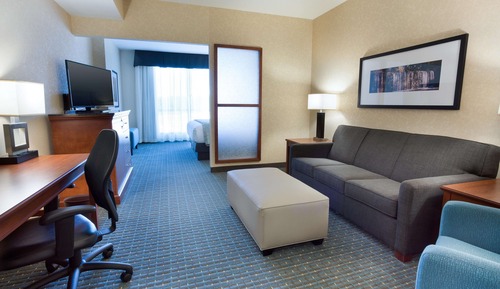 Room, 1 King Bed with Sofa bed (Sofa Sleeper)