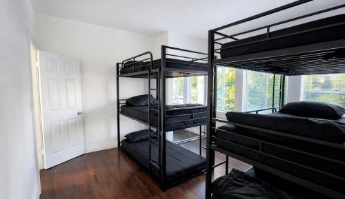 Bunk Bed in Mixed Dormitory Room