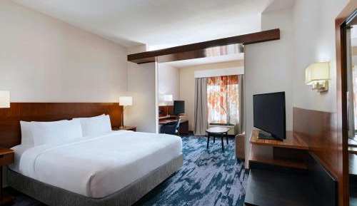 Executive Suite, 1 King, Sofa bed (Mobility Accessible w/ Tub)