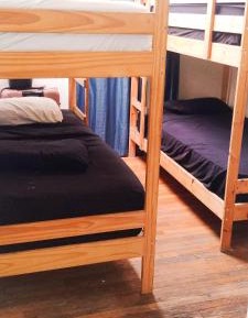 Bunk Bed in Mixed Dormitory Room