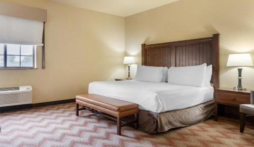King Room with Roll-In Shower - Mobility Access/Communication Assistance