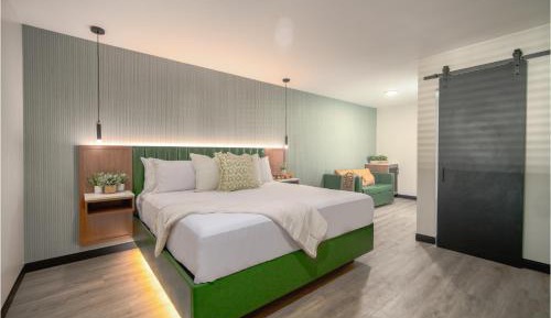 Deluxe King Suite