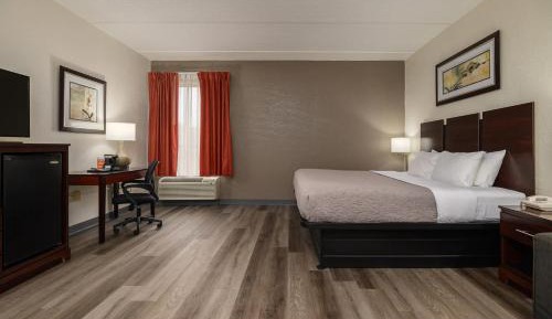 King Room - Non-Smoking