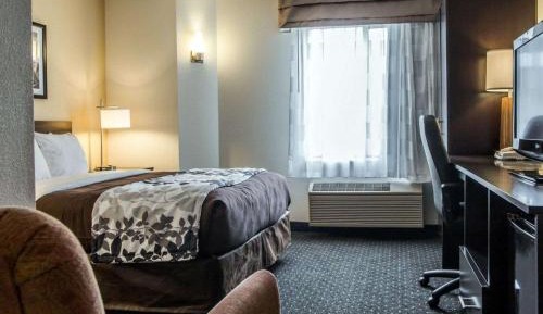 Queen Room - Disability Access/Non-Smoking